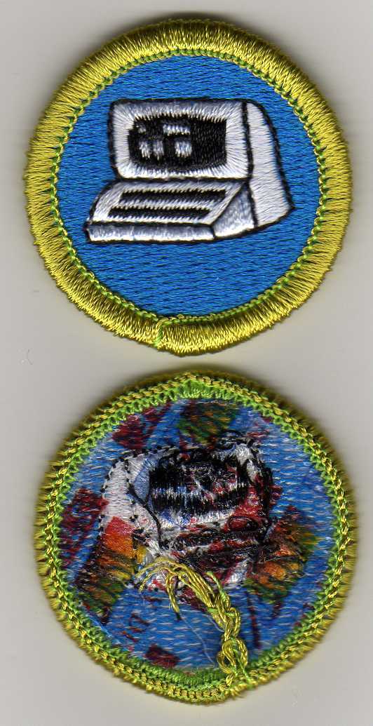 Picture 1 of 1
