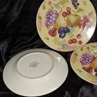 Three Coventry Stoneware Dinner Plates~Sweet Fruit~Indonesia — photo 7