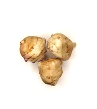 4(3+1) Seeds of Jerusalem Artichoke Sunchoke Sunroot -NON-GMO Organic Ship Fast!
