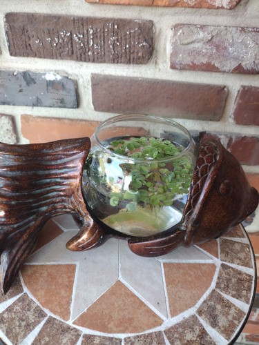 Chinese Koi Fishbowl 24oz Betta Fighting Fish Stand Antique Copper Finish GUC