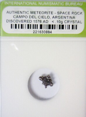 1576 METEORITE Slabbed Campo Del Cielo Meteor Space Rock LOT #1   NR