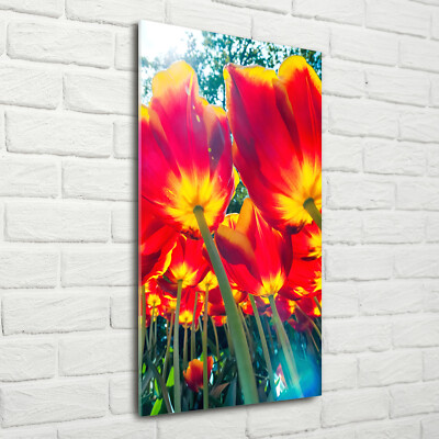 Wandbild Druck auf Plexiglas  Acryl Hochformat 70x140 Rote Tulpen