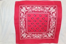 BANDANA DARK PINK PAISLEY SET OF 3