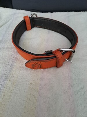 Hundehalsband Orange Rindsleder Riparo L 