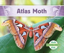 Atlas Moth by Grace Hansen (English) Hardcover Book