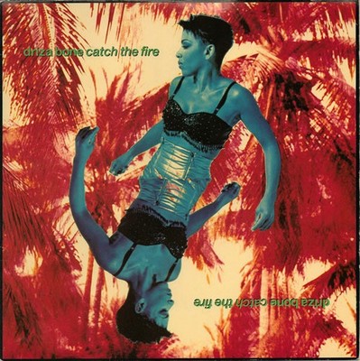 Driza Bone - Catch The Fire, 7'', (Vinyl)