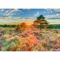 Schmidt Spiele Puzzle Heide Im Sonnenuntergang Erwachsenenpuzzle 1000 Teile