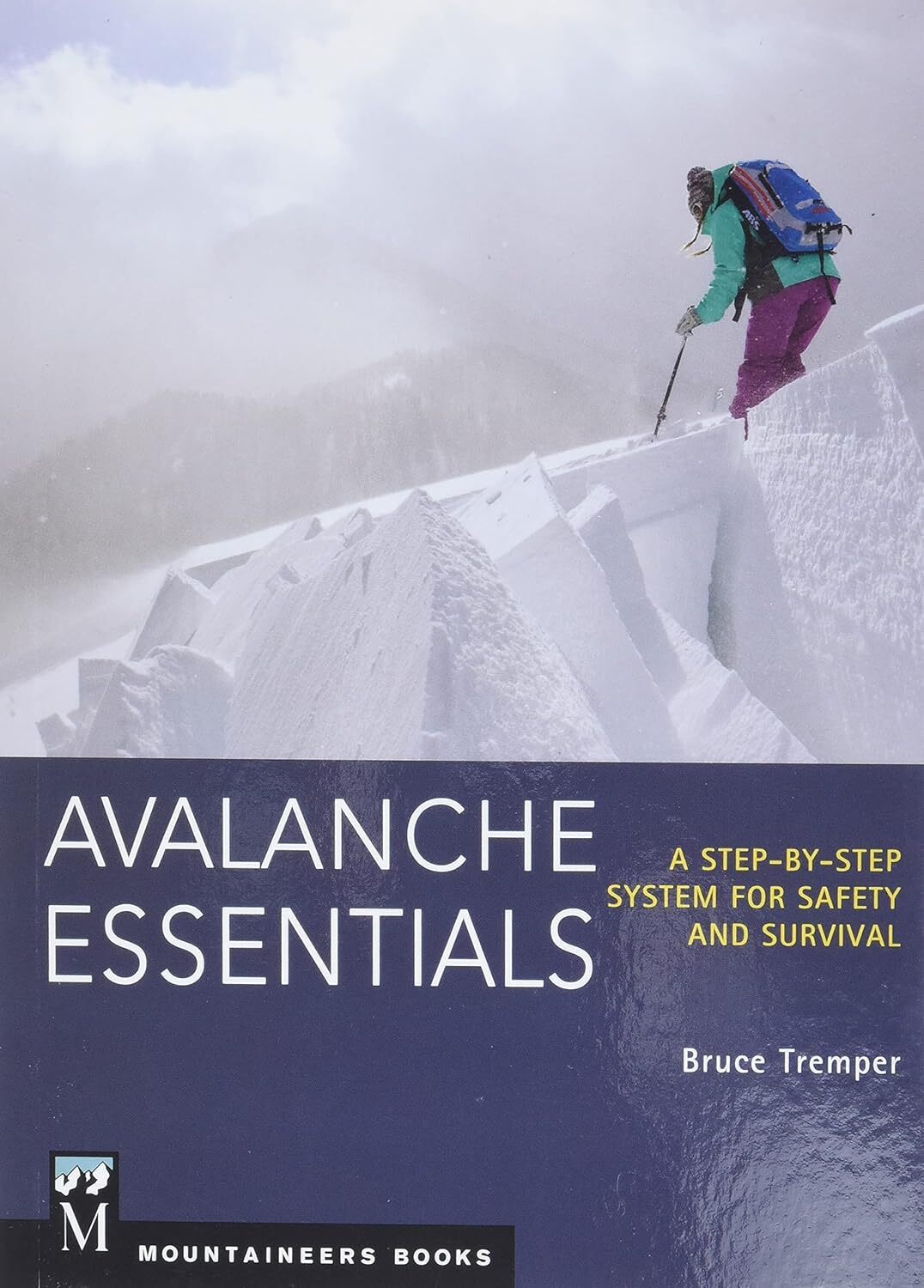 9781594857171 Avalanche Essentials: A Step-by-step System for Sa...ty & Survival