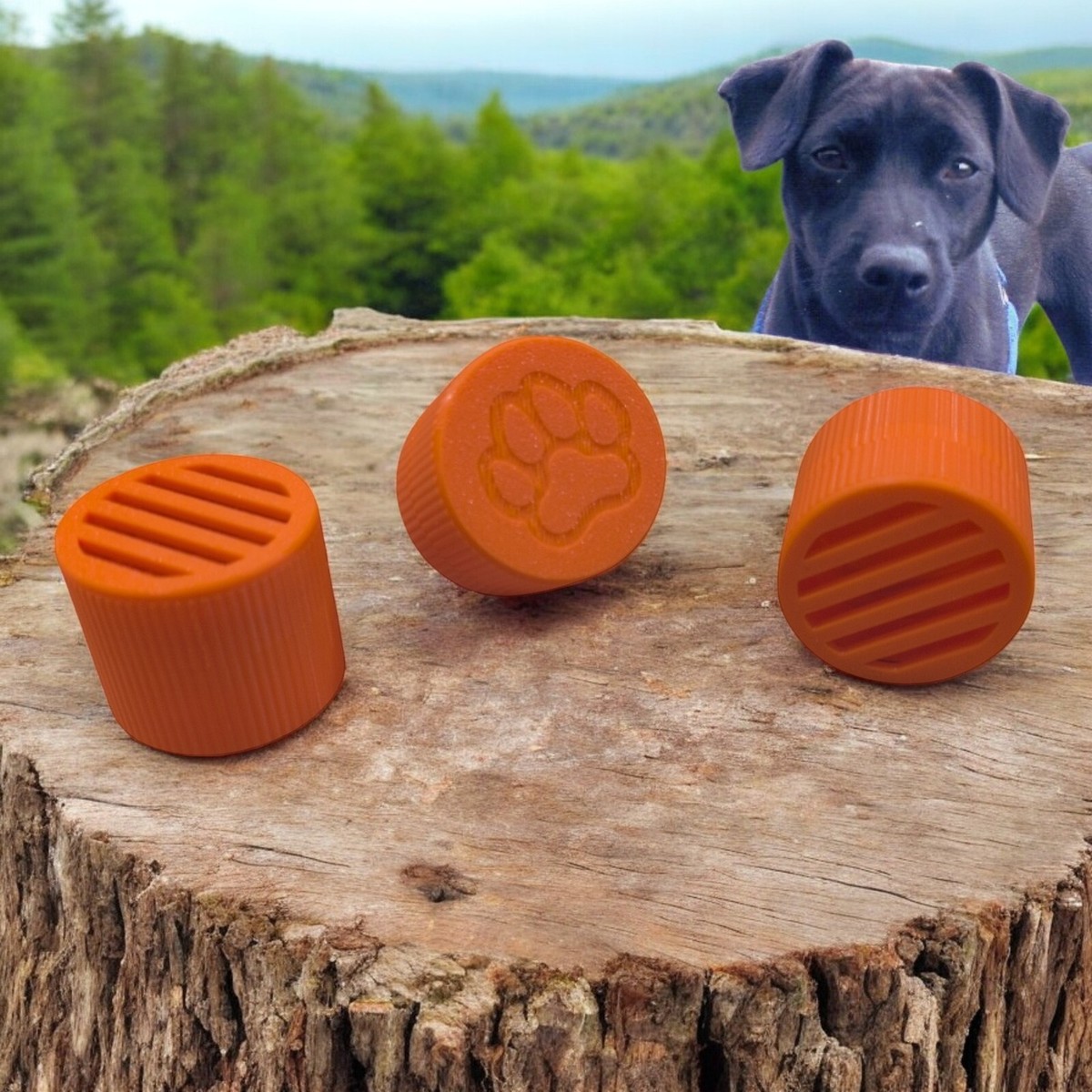 Set of PRO-DOG Scent Detection Training Containers UK