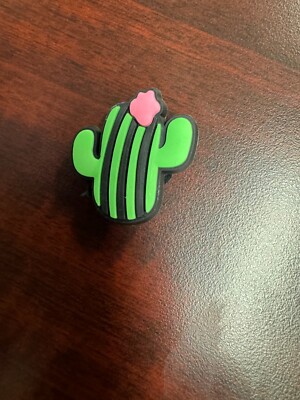 #6 Cactus, succulent shoe Charm For Crocs dupli