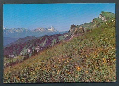 AK26610# view from Brauneckhaus on Wetterstein + Zugspitze 83661