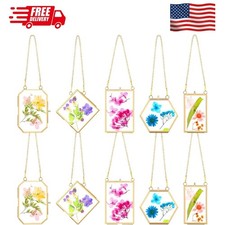 10 Pcs Glass Frame for Pressed Flowers 5 Different Shapes Brass Gold 