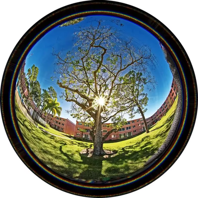 Laowa 4mm F2.8 MF Manual Focus Wide Angle Fisheye Lens for Sony E