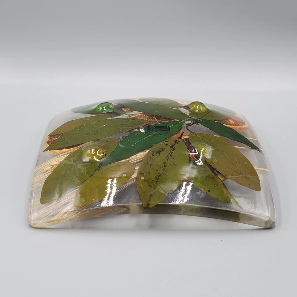 Centro de mesa de acrílico de resina Riccardo Marzi bandeja trigo naranja toscana Italia EC 7 pulgadas Foto 4 de 4