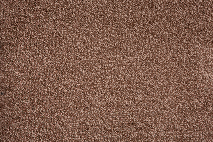 CHEAPEST Carpets Twist Pile ONLY Carpet 4m Wide Cheap Clearance eBay
