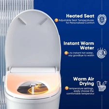 Electric Bidet, Heated Seat, Warm Water, Dryer, Feminine Wash, Elongated Toilet