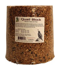 Sahuaro Seed Bird Food Block 15 lb