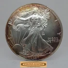 1999 American Silver Eagle 1 oz .999 Silver, TONED - #C57568NQ