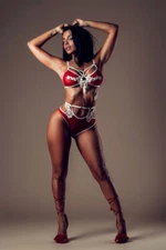 Vida Guerra Model Attractive Aritst Print Wall Art Home Decor - POSTER 20x30