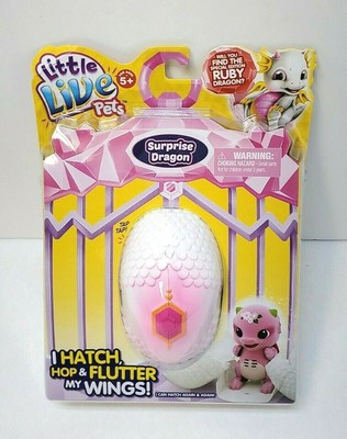 little live dragon egg