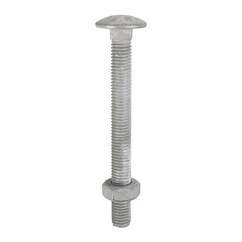 TIMCO Carriage Bolt & Hex Nut - HDG M8 x 75 Pack 50
