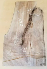Walnut Live Edge Wood Slab 19 1/2'' x 12'' x 2 1/2''  Wood & Project Materials