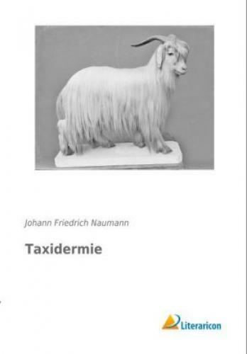 Thumbnail - Taxidermie Die Lehre Tiere Aller Klassen Am Einfachsten Und