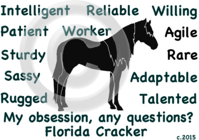 Florida Cracker Horse My Obsession, Any Questions? T-shirt Choices