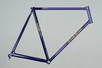 NOS CHESINI CRITERIUM STEEL FRAME VINTAGE ROAD RACING BIKE BICYCLE