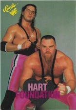 Hart Foundation 1990 Classic WWF #38
