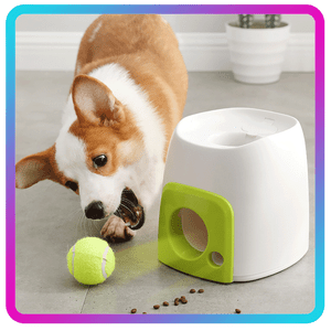 dog toy fetch machine