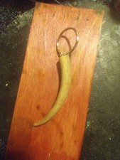 Authentic White Tail Deer Antler Key Chain Aprox 3 Inches Long