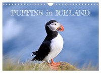 Puffins In Iceland (Wall Calendar 2027 DIN A4 Landscape), Calvendo 12 Month Wall