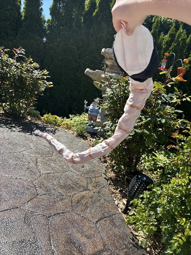 Therian Rat Mask For Quadrobics, Made HQ Comes With Tail. Very Good Tail. - Picture 16 of 21