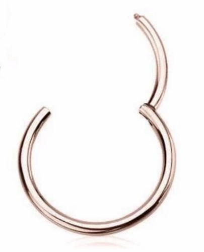 Titanium Hinged Segment Clicker Hoop Ring Septum Lip Ear Nose Body Piercing 1pc - Picture 6 of 6