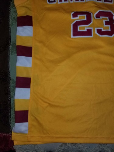 VINTAGE NEW ADIDAS SWINGMAN LEBRON JAMES CAVALIERS SMALL JERSEY LAKERS VHTF - Foto 2 di 11