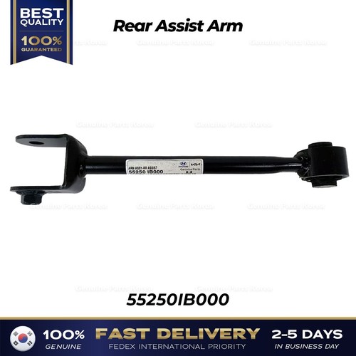 ⭐Genuine⭐ Rear Assist Arm 55250IB000 for Hyundai Elantra N - Picture 3 of 4