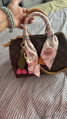 Louis Vuitton LV Hand Bag Speedy 25 Brown Monogram 4721764