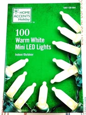 Home Accents 100 Warm White LED Mini String Lights Christmas with Green Wire NEW