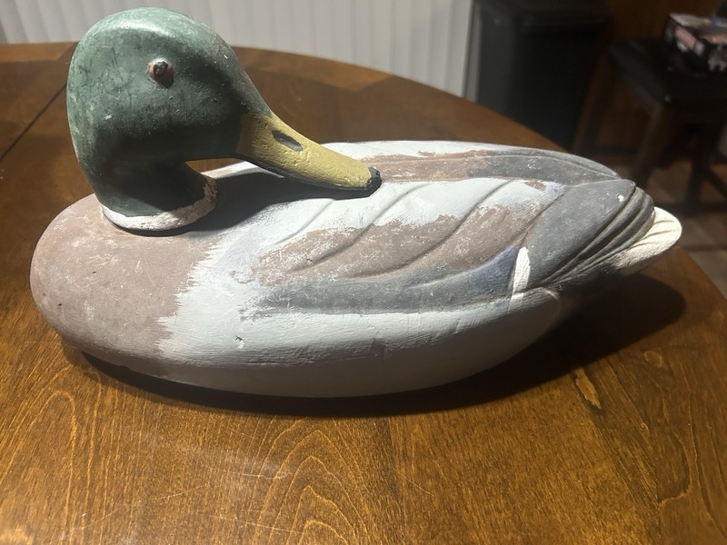 Duck Decoy, Factory Made, Foam, Mallard Drake