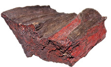 Love the Red Petrified Wood from Northeastern AZ Chinle Formation