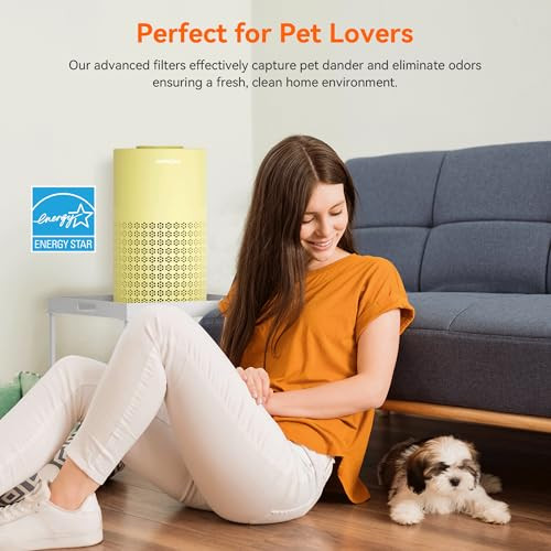 HEPA Air Purifier for Bedroom and Home with Pet Hair Filter