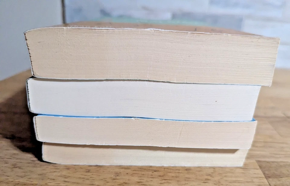 Bernard Malamud Lot of 4 Paperback Books Pulitzer Prize Winning Author FREE SHIP - Image 3 of 4