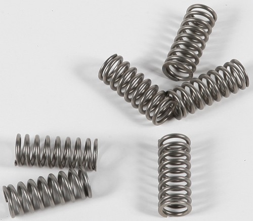 EBC Clutch Spring Kit CSK178 26-7938 15-17178 163489 ebcCSK178 - Bild 1 von 3