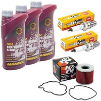ÖL 3L Set FüR Suzuki GR 650 GP51A GR650 1983-1989 Inspektion ÖLfilter ZüNdkerzen