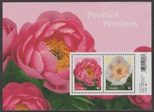 Canada 3485 Peonies souvenir sheet MNH 2025