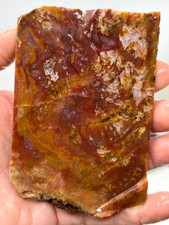 Mexican Red Moss Agate Slab Lapidary Cabbing Combo Ship Avail