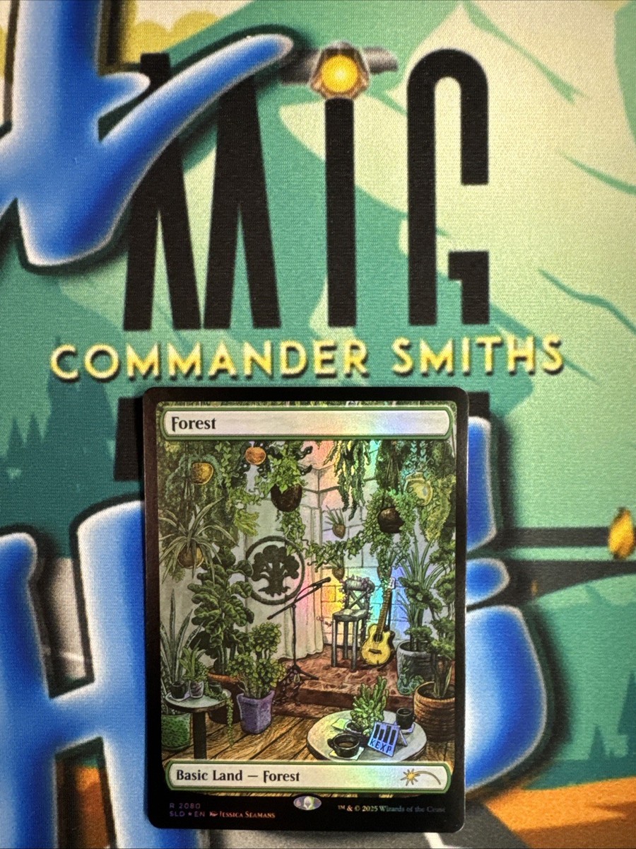 Forest ✨ FOIL ✨ MTG NM KEXP: Where the Music Matters