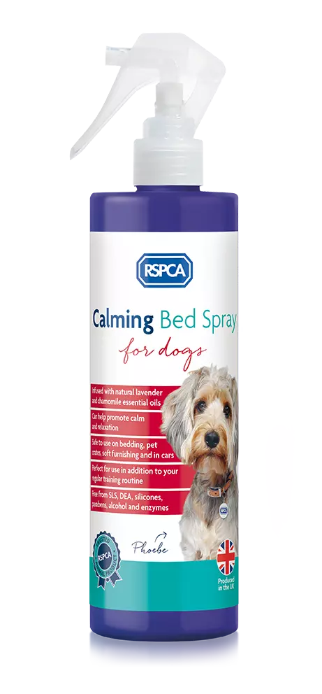 Spray for cheap anxious dogs