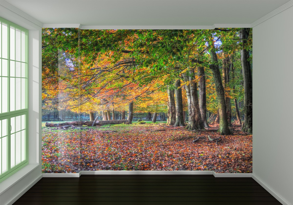 Custom Size Wall Murals,Colorful Graffiti,Removable Peel And Stick Self - View #7
